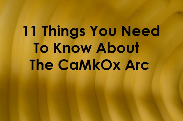 CaMkOx