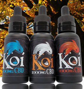 Koi CBD Vape Juice Review