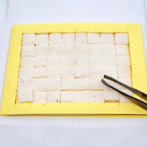 Magic Atopack Cotton