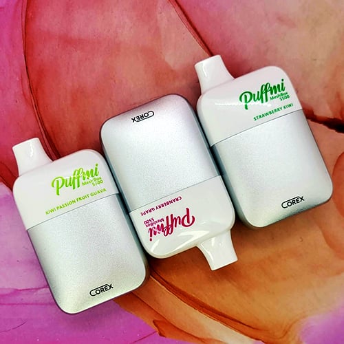 Puffmi MeshBox 5500 Disposables - 3