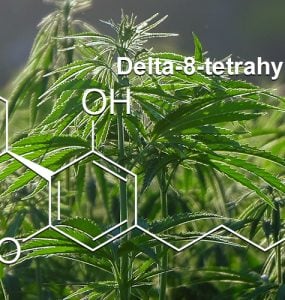 What is Delta-8 Main Banner