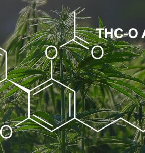 What is THC-O Main Banner Final