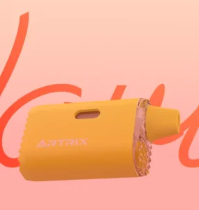 Artrix Wavvy Review Cover Image