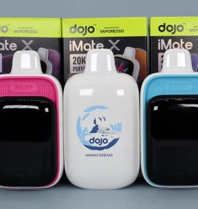 DOJO iMate X 20K Review Cover Image