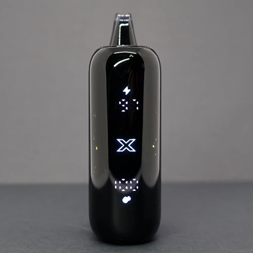 Geekbar Pulse X Disposables - 19 Geekbar Pulse X Disposables - 19