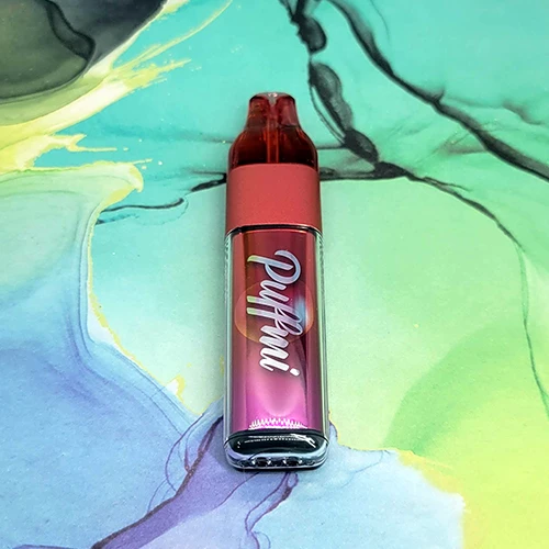 Puffmi C800 Disposables - 10