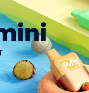 Puffmi MeshBox mini Review Main Banner