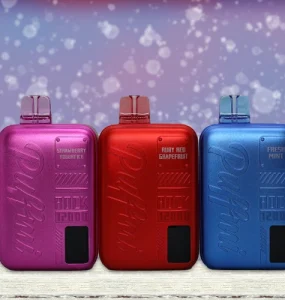 Puffmi ROCK 12000 Review Main Banner