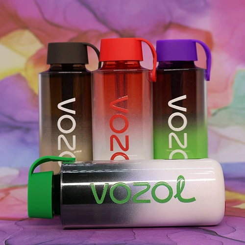 VOZOL NEON 10000 - 2