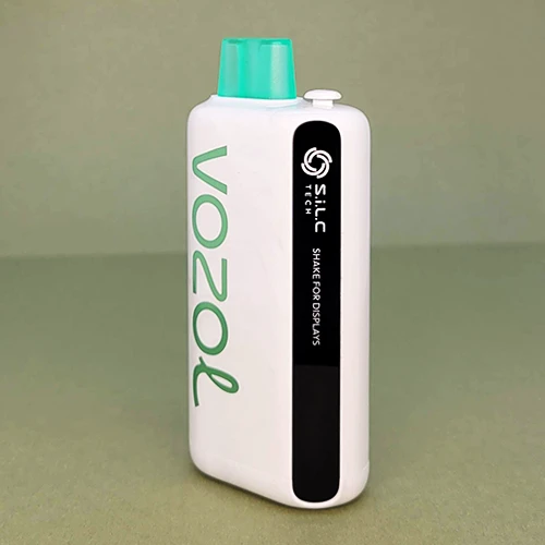 VOZOL Star 9000 DIsposables - 10