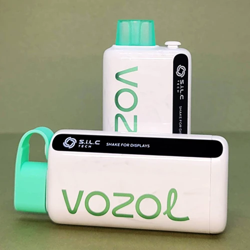 VOZOL Star 9000 DIsposables - 15