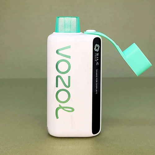 VOZOL Star 9000 DIsposables - 4