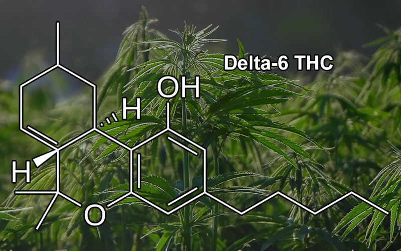 What is Delta 6 THC - 1